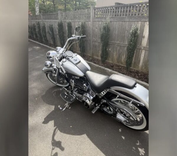 Screenshot 2003 Harley-Davidson Heritage Softail Classic.