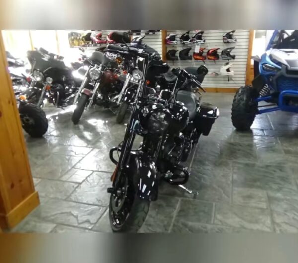 2024 Harley-Davidson RoadKing®