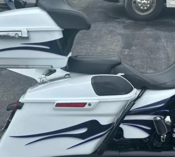 2018 Street Glide special